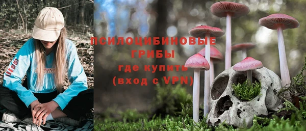 ГАЛЛЮЦИНОГЕННЫЕ ГРИБЫ Лабытнанги