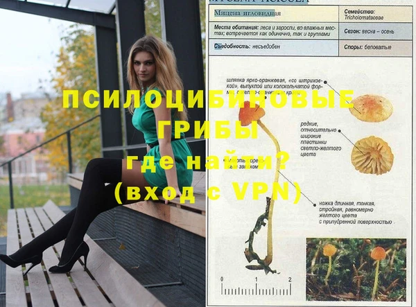 стаф Володарск