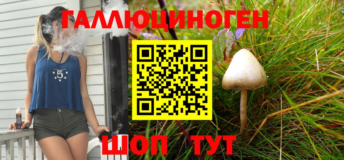 Мценск  Псилоцибиновые грибы Psilocybe  Галлюциногенные грибы GOLDEN TEACHER  Вход с VPN 