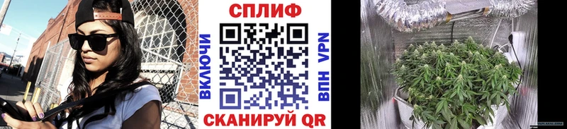 Марихуана индика  Мценск 